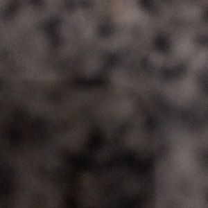 Meet your Posher, Will